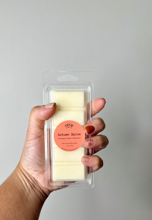 Autumn Spice - Wax Melt Bar